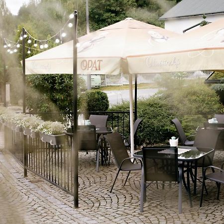 Willa Brygida Spa Kudowa-Zdrój Exterior foto